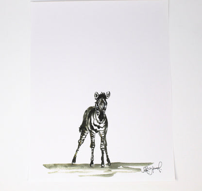Baby Zebra Art Print- 11x14, Animal Art, Safari Animals, Home Decor, Nursery Wall Art DC-Shelby Kregel Art and Design